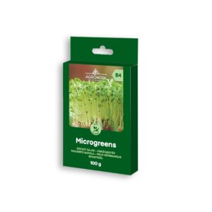 Rukolan siemenet laatikossa